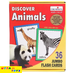 Creative Discover Animals Flash Cards - 36 Cards