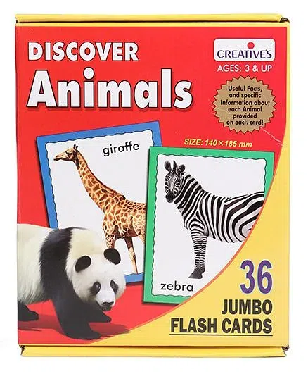 Creative Discover Animals Flash Cards - 36 Cards