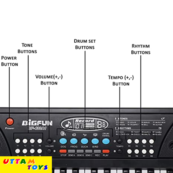 Bigfun BF-430A1 Piano for Kids Whose Ages Above 3 Years | 37 Keys in Keyboard | 8 Tones | 8 Rhythms | 4 Percussions | 6 Demos | Microphone Available | B/O & Mobile Charger Operated