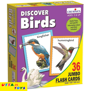 Creative's Discover Birds 36 Jumbo Flash Cards