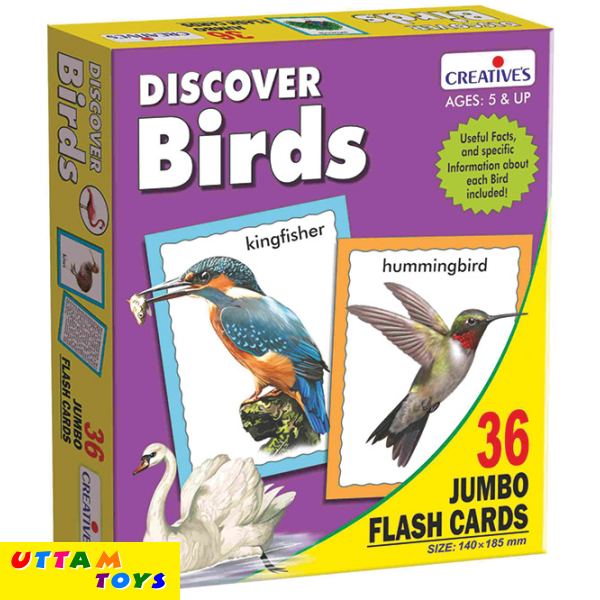 Creative's Discover Birds 36 Jumbo Flash Cards