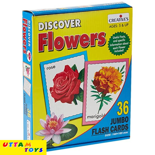 Creative Discover Birds Jumbo Flash Cards