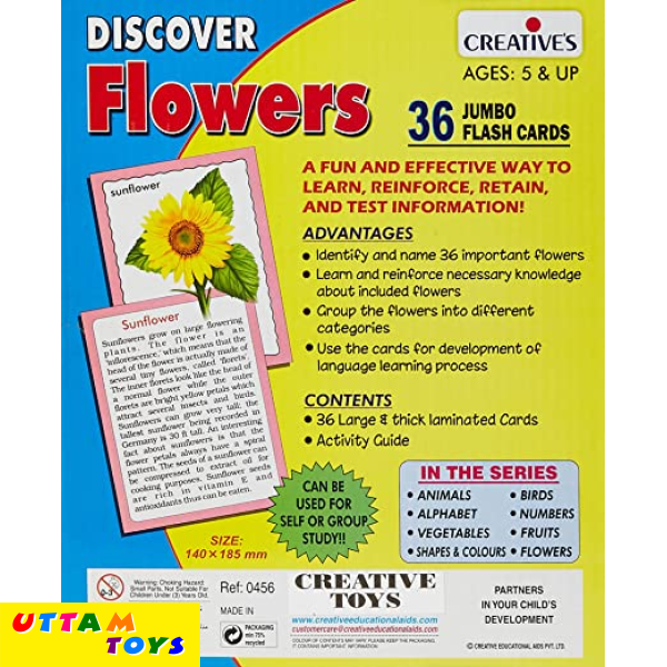 Creative Discover Birds Jumbo Flash Cards