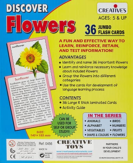 Creative Discover Birds Jumbo Flash Cards
