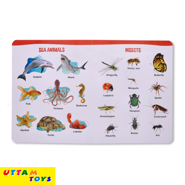 Navneet All In One Board Book (Eng.)