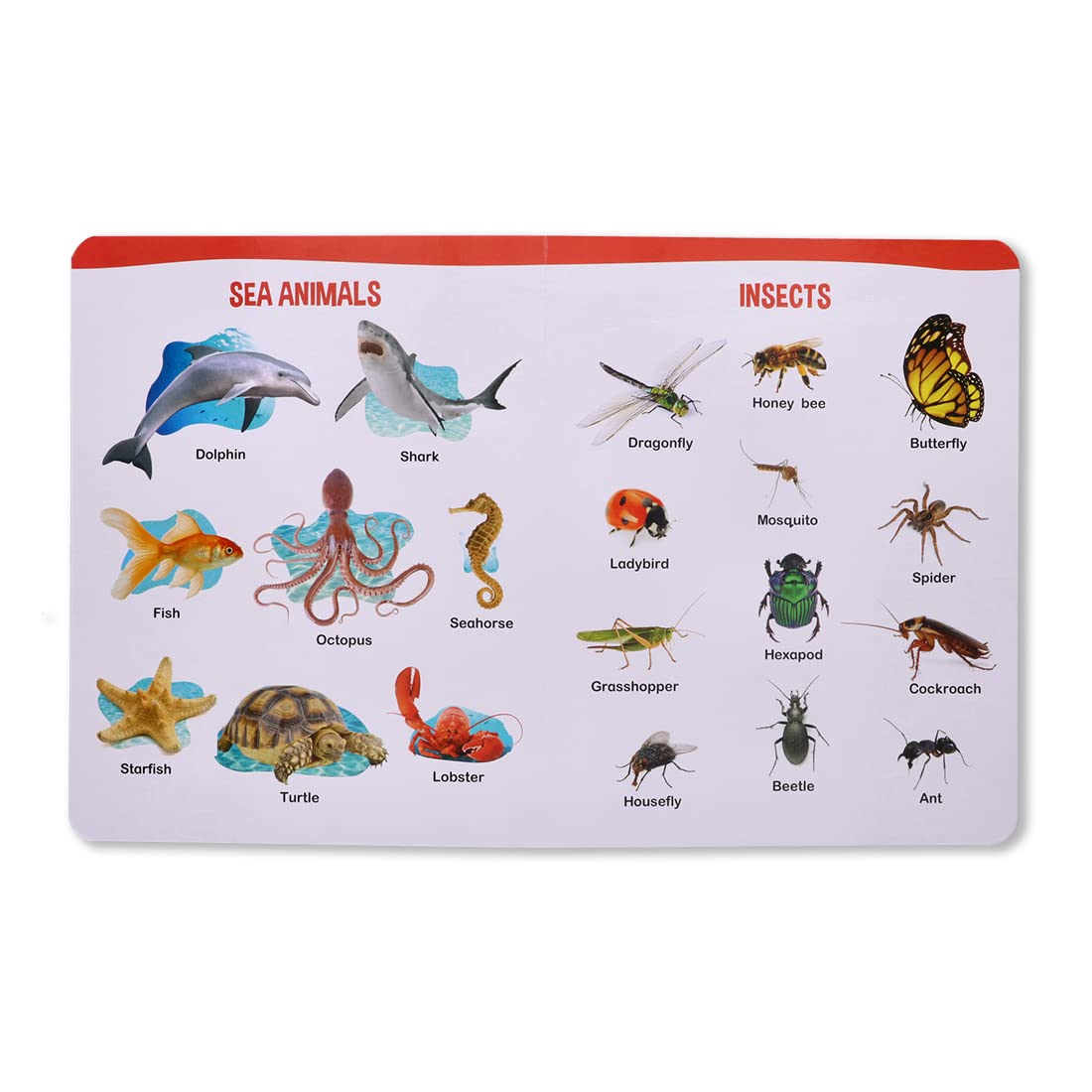 Navneet All In One Board Book (Eng.)