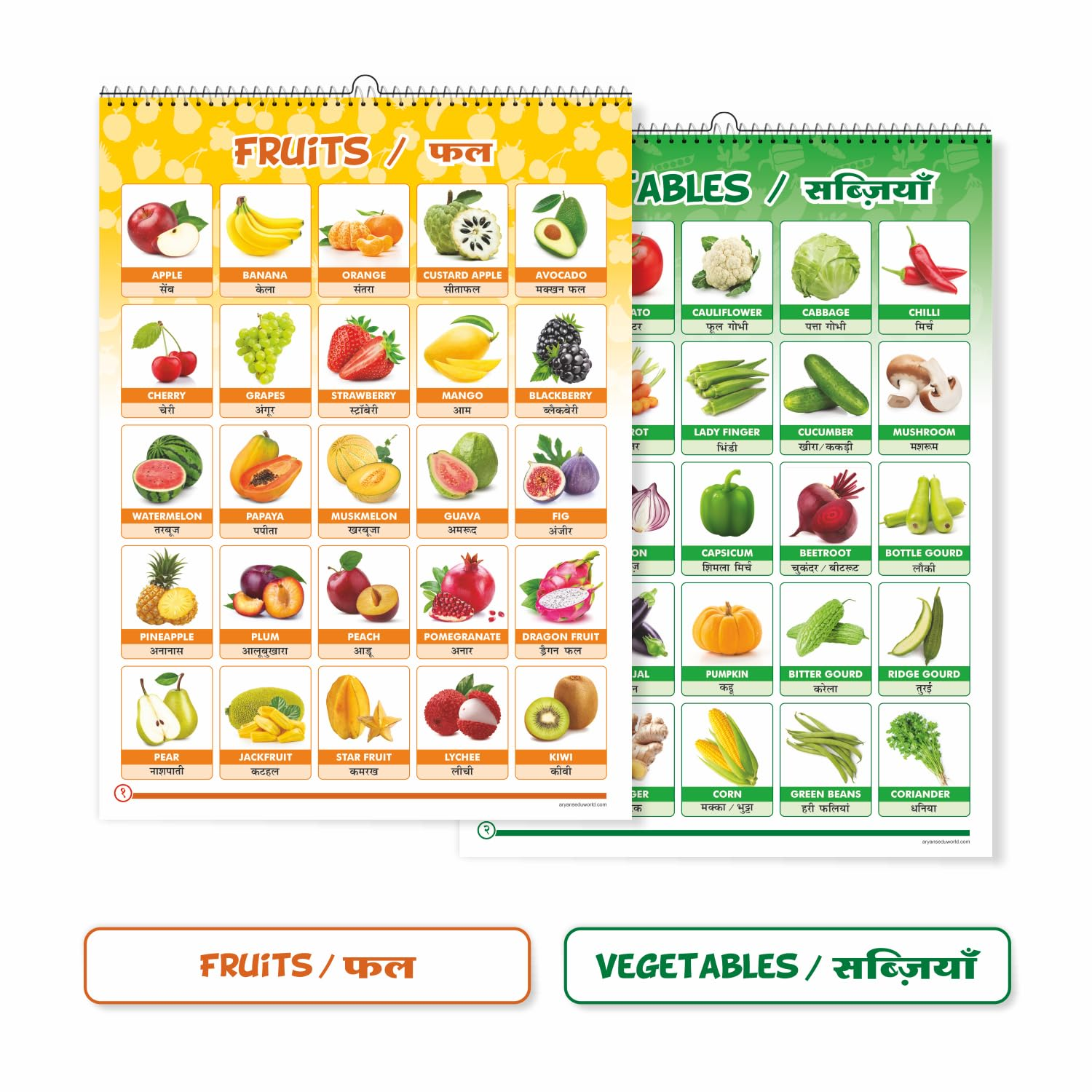 Aryans Educational Chart Look And Learn Hindi & English