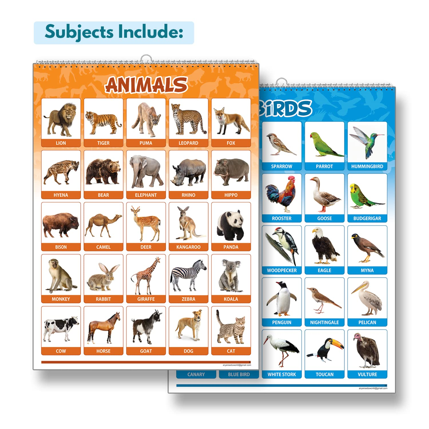Aryans Eduworld Early Learning Educational Chart Look And Learn